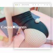 ヒメ日記 2025/04/05 17:00 投稿 心愛【ここあ】 CoCoaco(ココアコ)大阪本店