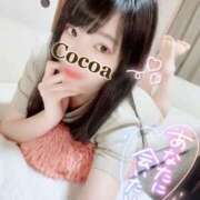ヒメ日記 2025/04/05 21:00 投稿 心愛【ここあ】 CoCoaco(ココアコ)大阪本店