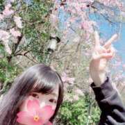 ヒメ日記 2025/04/06 17:36 投稿 心愛【ここあ】 CoCoaco(ココアコ)大阪本店