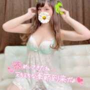 ヒメ日記 2025/04/08 13:00 投稿 心愛【ここあ】 CoCoaco(ココアコ)大阪本店