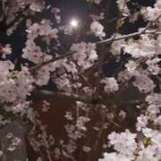 ヒメ日記 2025/04/09 13:03 投稿 心愛【ここあ】 CoCoaco(ココアコ)大阪本店