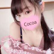 ヒメ日記 2025/04/10 11:30 投稿 心愛【ここあ】 CoCoaco(ココアコ)大阪本店