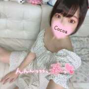 ヒメ日記 2025/04/11 15:30 投稿 心愛【ここあ】 CoCoaco(ココアコ)大阪本店