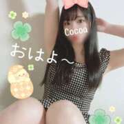 ヒメ日記 2025/04/12 12:40 投稿 心愛【ここあ】 CoCoaco(ココアコ)大阪本店