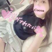 ヒメ日記 2025/04/15 21:00 投稿 心愛【ここあ】 CoCoaco(ココアコ)大阪本店