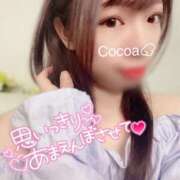 ヒメ日記 2025/04/16 15:00 投稿 心愛【ここあ】 CoCoaco(ココアコ)大阪本店