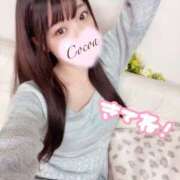 ヒメ日記 2025/04/17 07:10 投稿 心愛【ここあ】 CoCoaco(ココアコ)大阪本店