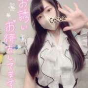 ヒメ日記 2025/04/20 19:20 投稿 心愛【ここあ】 CoCoaco(ココアコ)大阪本店