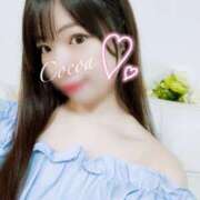 ヒメ日記 2025/04/21 01:07 投稿 心愛【ここあ】 CoCoaco(ココアコ)大阪本店