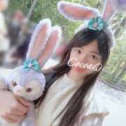 ヒメ日記 2025/04/21 22:04 投稿 心愛【ここあ】 CoCoaco(ココアコ)大阪本店