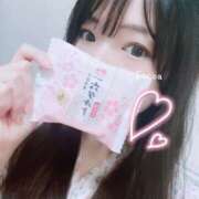 ヒメ日記 2025/04/24 00:10 投稿 心愛【ここあ】 CoCoaco(ココアコ)大阪本店