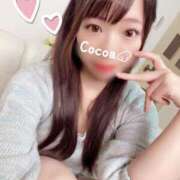 ヒメ日記 2025/04/24 12:31 投稿 心愛【ここあ】 CoCoaco(ココアコ)大阪本店