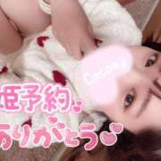 ヒメ日記 2025/04/25 22:33 投稿 心愛【ここあ】 CoCoaco(ココアコ)大阪本店