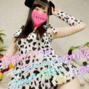 ヒメ日記 2025/05/01 23:00 投稿 心愛【ここあ】 CoCoaco(ココアコ)大阪本店