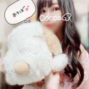 ヒメ日記 2025/05/03 10:45 投稿 心愛【ここあ】 CoCoaco(ココアコ)大阪本店