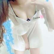 ヒメ日記 2025/05/10 00:34 投稿 心愛【ここあ】 CoCoaco(ココアコ)大阪本店