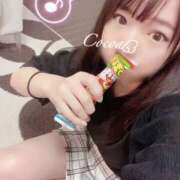 ヒメ日記 2025/05/13 11:00 投稿 心愛【ここあ】 CoCoaco(ココアコ)大阪本店