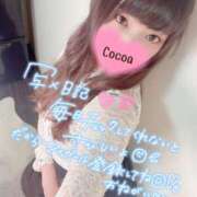 ヒメ日記 2025/05/16 13:12 投稿 心愛【ここあ】 CoCoaco(ココアコ)大阪本店
