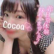 ヒメ日記 2025/05/16 21:23 投稿 心愛【ここあ】 CoCoaco(ココアコ)大阪本店