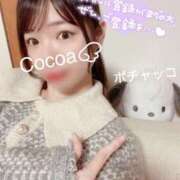 ヒメ日記 2025/05/18 04:30 投稿 心愛【ここあ】 CoCoaco(ココアコ)大阪本店