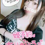 ヒメ日記 2025/05/23 13:00 投稿 心愛【ここあ】 CoCoaco(ココアコ)大阪本店