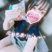 ヒメ日記 2025/05/25 01:00 投稿 心愛【ここあ】 CoCoaco(ココアコ)大阪本店