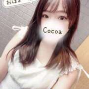 ヒメ日記 2025/05/28 07:00 投稿 心愛【ここあ】 CoCoaco(ココアコ)大阪本店