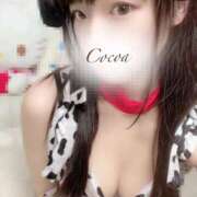 ヒメ日記 2025/05/30 23:02 投稿 心愛【ここあ】 CoCoaco(ココアコ)大阪本店