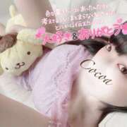 ヒメ日記 2025/06/01 12:00 投稿 心愛【ここあ】 CoCoaco(ココアコ)大阪本店