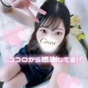 ヒメ日記 2025/06/05 01:00 投稿 心愛【ここあ】 CoCoaco(ココアコ)大阪本店