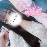 ヒメ日記 2025/06/06 20:00 投稿 心愛【ここあ】 CoCoaco(ココアコ)大阪本店