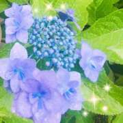 ヒメ日記 2025/06/10 18:41 投稿 心愛【ここあ】 CoCoaco(ココアコ)大阪本店