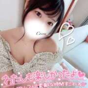 ヒメ日記 2025/06/17 23:40 投稿 心愛【ここあ】 CoCoaco(ココアコ)大阪本店