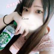 ヒメ日記 2025/06/23 20:40 投稿 心愛【ここあ】 CoCoaco(ココアコ)大阪本店