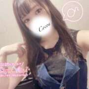 ヒメ日記 2025/06/26 07:10 投稿 心愛【ここあ】 CoCoaco(ココアコ)大阪本店