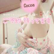 ヒメ日記 2025/07/01 20:15 投稿 心愛【ここあ】 CoCoaco(ココアコ)大阪本店