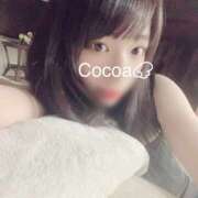 ヒメ日記 2025/07/03 00:44 投稿 心愛【ここあ】 CoCoaco(ココアコ)大阪本店