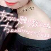ヒメ日記 2025/07/05 17:00 投稿 心愛【ここあ】 CoCoaco(ココアコ)大阪本店