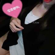 ヒメ日記 2025/07/17 01:16 投稿 心愛【ここあ】 CoCoaco(ココアコ)大阪本店