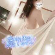 ヒメ日記 2025/07/17 10:30 投稿 心愛【ここあ】 CoCoaco(ココアコ)大阪本店