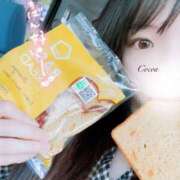 ヒメ日記 2025/07/19 09:16 投稿 心愛【ここあ】 CoCoaco(ココアコ)大阪本店