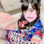 ヒメ日記 2025/08/09 20:37 投稿 心愛【ここあ】 CoCoaco(ココアコ)大阪本店