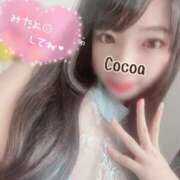 ヒメ日記 2025/08/14 12:35 投稿 心愛【ここあ】 CoCoaco(ココアコ)大阪本店