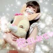 ヒメ日記 2025/08/16 10:30 投稿 心愛【ここあ】 CoCoaco(ココアコ)大阪本店