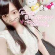 ヒメ日記 2025/08/18 20:00 投稿 心愛【ここあ】 CoCoaco(ココアコ)大阪本店