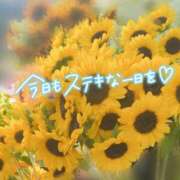 ヒメ日記 2025/08/25 15:04 投稿 心愛【ここあ】 CoCoaco(ココアコ)大阪本店