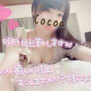 ヒメ日記 2025/08/26 05:56 投稿 心愛【ここあ】 CoCoaco(ココアコ)大阪本店