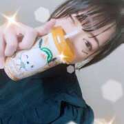 ヒメ日記 2025/08/29 13:22 投稿 心愛【ここあ】 CoCoaco(ココアコ)大阪本店