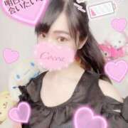 ヒメ日記 2025/08/30 20:00 投稿 心愛【ここあ】 CoCoaco(ココアコ)大阪本店