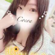ヒメ日記 2025/09/06 04:10 投稿 心愛【ここあ】 CoCoaco(ココアコ)大阪本店